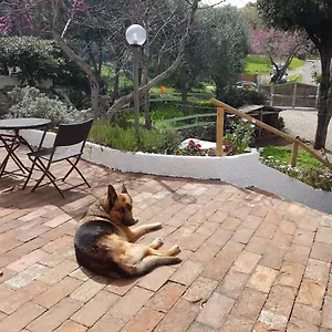 La Casa Di Cosa Ansedónia